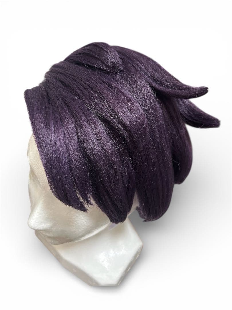 公式 ストアホビー・楽器・アート - ポケモンZA カラスバ ウィッグ