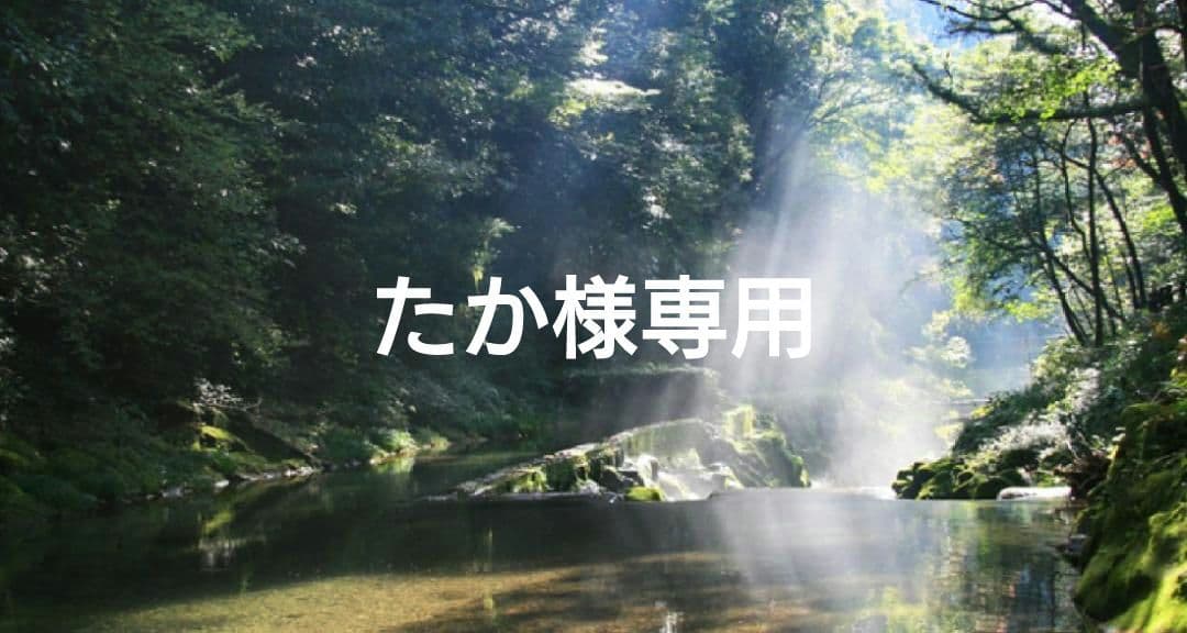 たか✨特典付電磁波防止✨本物CMCペンダントUSA版2本お値引