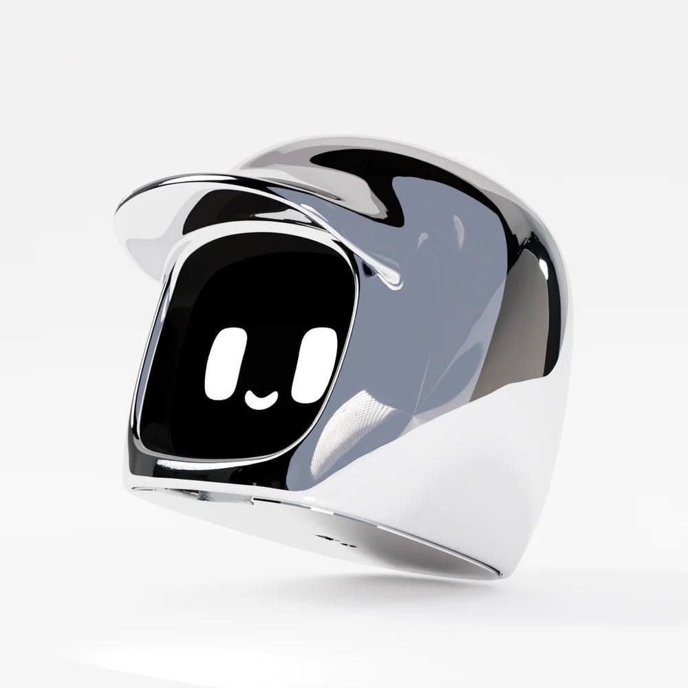 【訳あり】新品 ダサイ もち バージョン3 クロム DASAI MOCHI