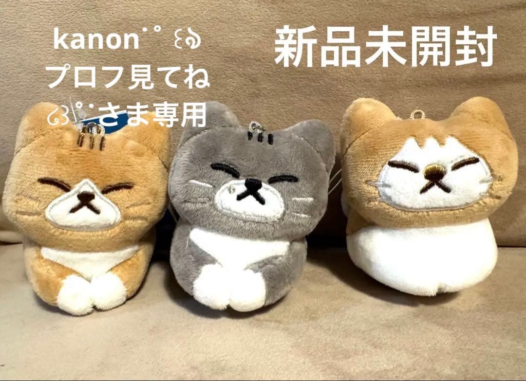 Stray Kids メンプロ グッズ スンドゥンドリ