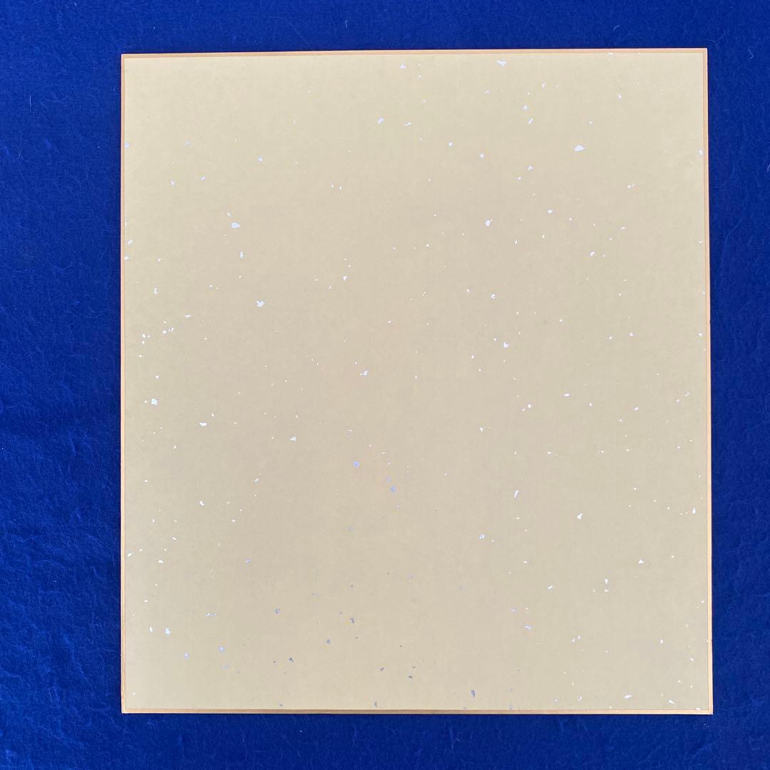 女優 桐谷美玲 直筆サイン 色紙 写真付 - メルカリ