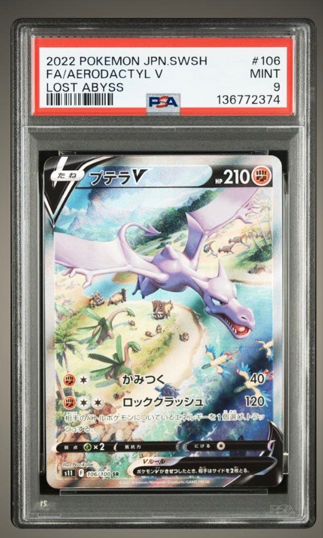 プテラV PSA9
