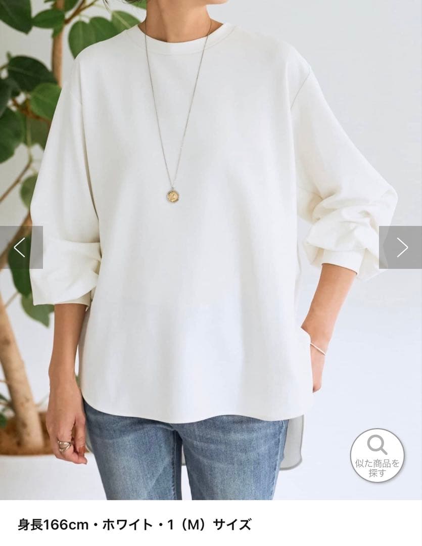 ビアズリー Tブラウス ビアズリー BEARDSLEY 《9/22(月) 18時－ホワイト予約開始》Tブラウス