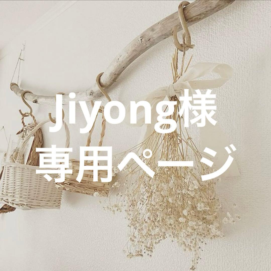 Jiyongページ