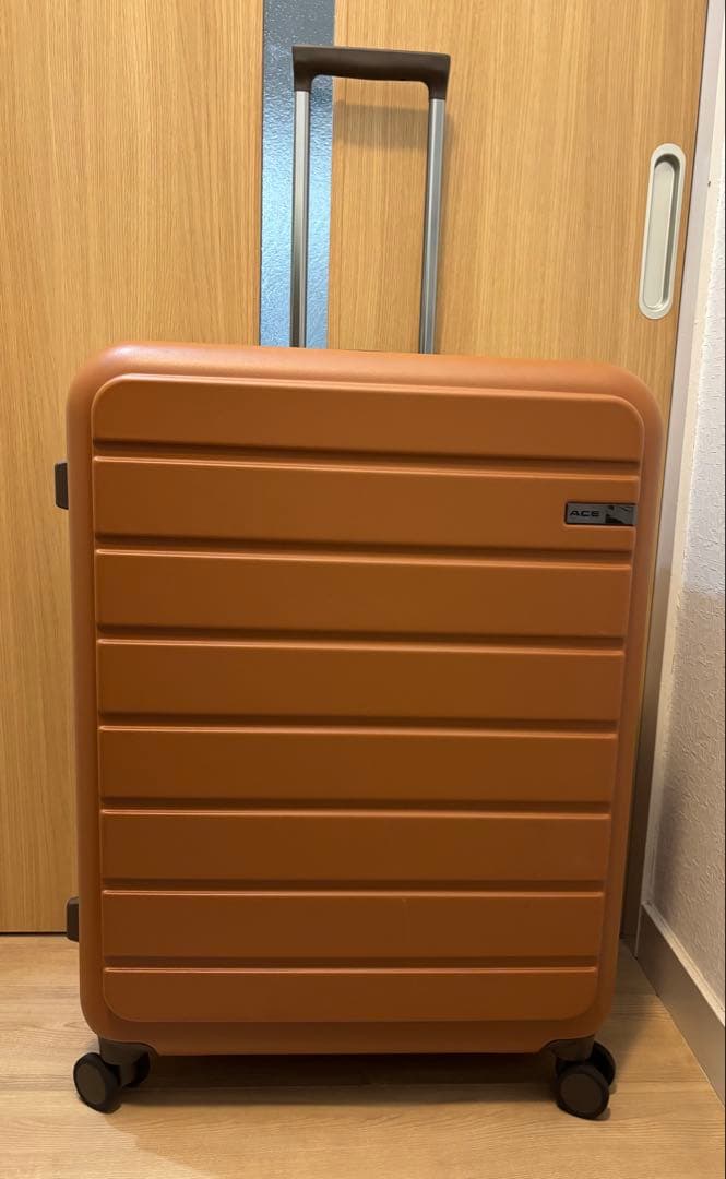 定価の半額‼️【極美品】ACE フレットボード 100L スーツケース