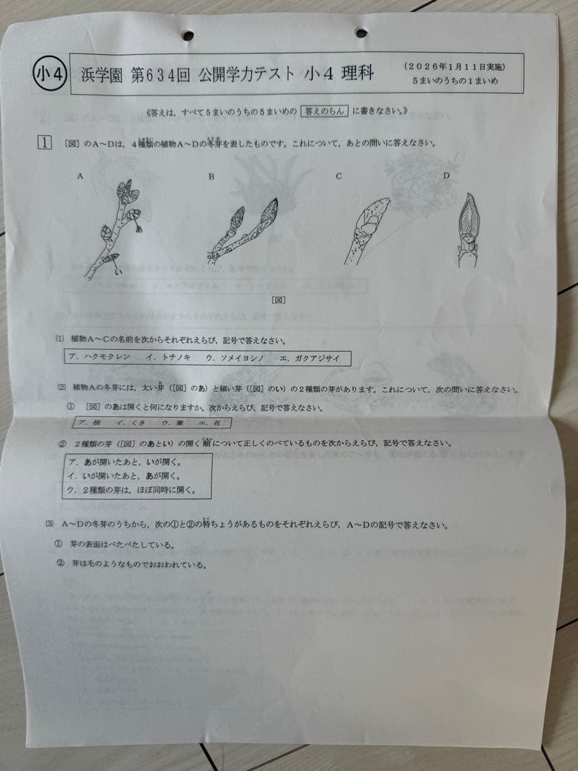 浜学園小4公開学力テスト2025年一年分 - メルカリ