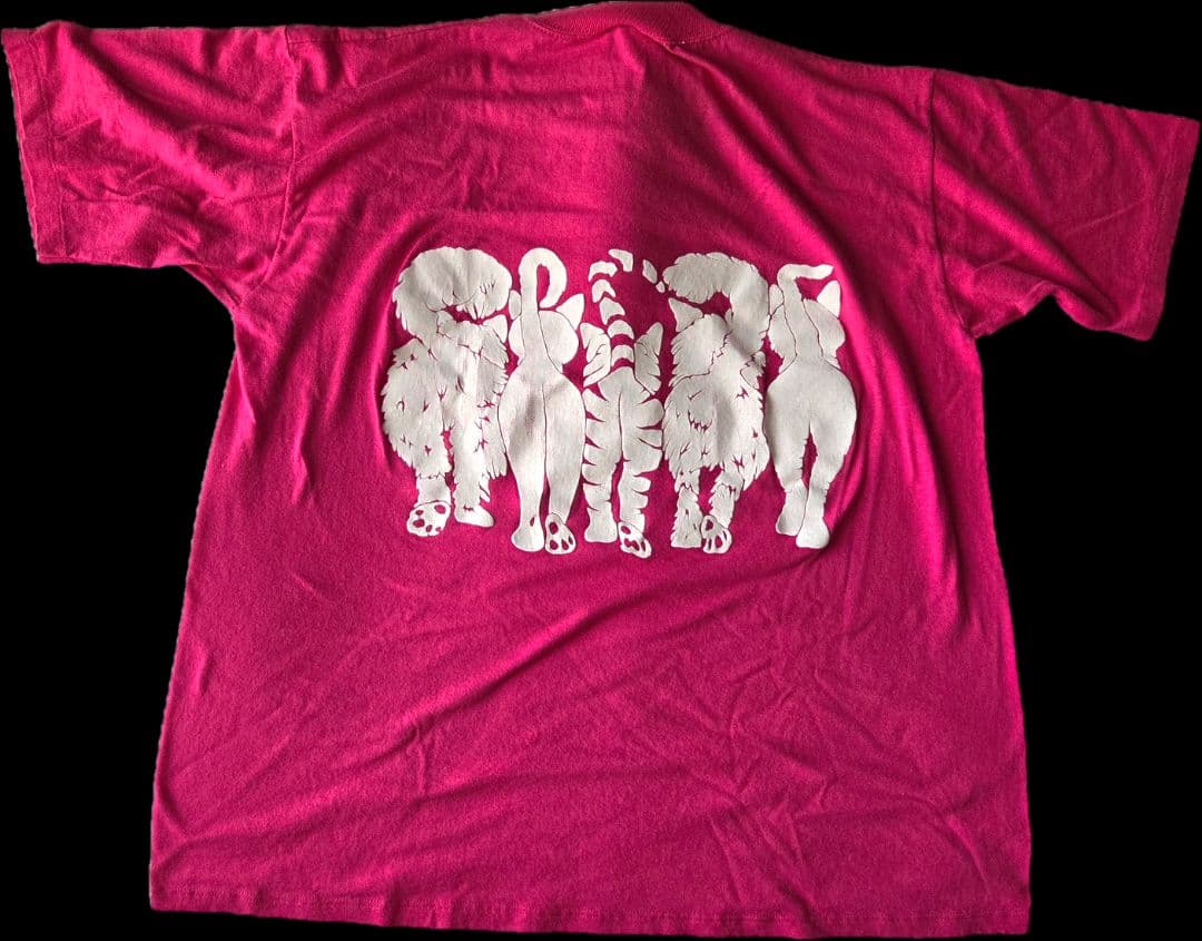 80s 90s LINDA LORI Tシャツ ヴィンテージ あいみょん 猫 - メルカリ