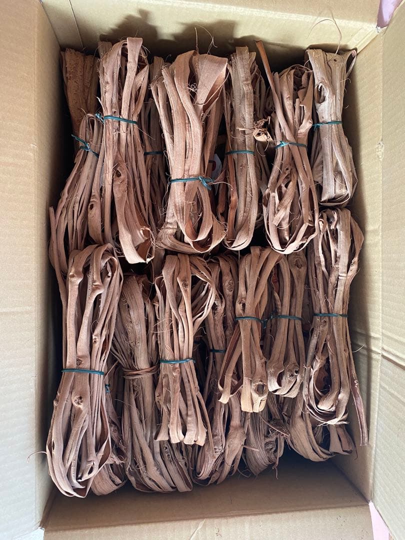 山葡萄の生成り6kg前後　訳ありお買得品　北海道産