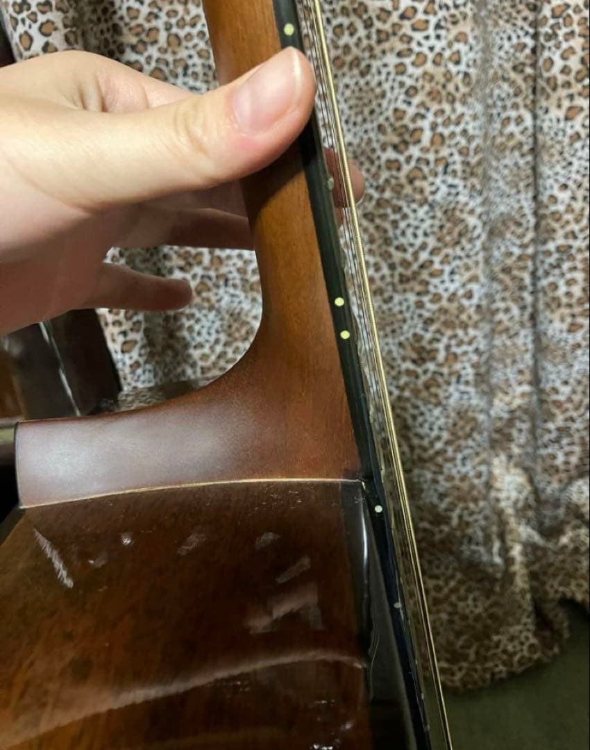 Morris モーリス アコースティックギター アコギ MD-508 - メルカリ