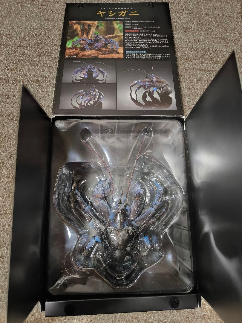 いきもの大図鑑　ヤシガニ