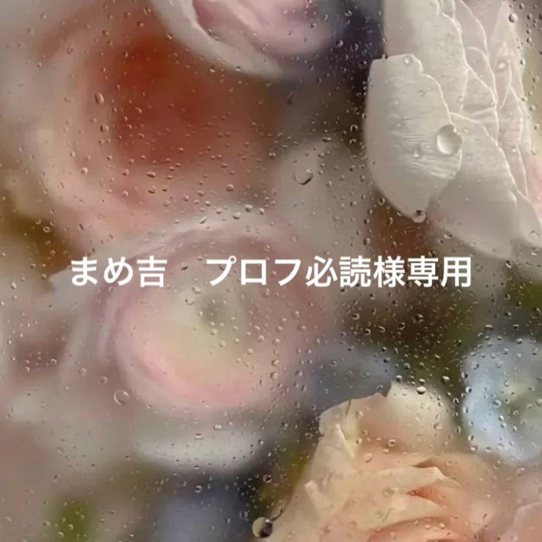 まめ吉　プロフ必読