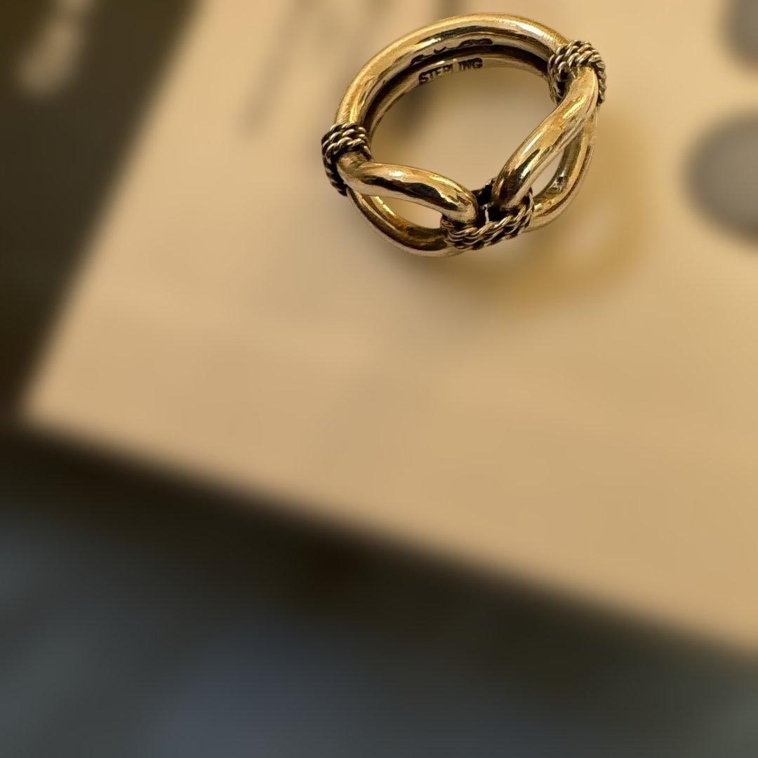 A*O様 スティーブアルビソ(Steve Arviso) ホースウィスパラーリン