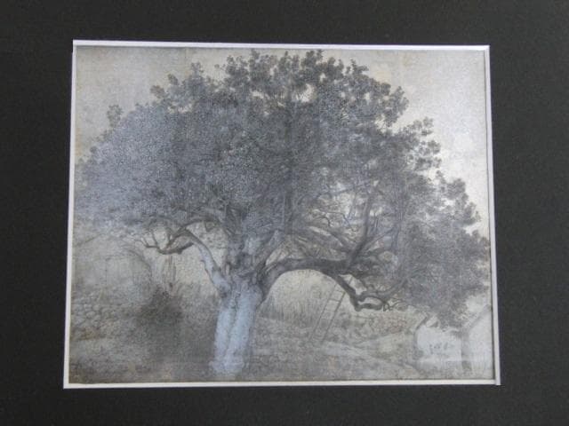 森英明、【錫杖鍛の大椿】、希少な額装用画集より、新品額装付