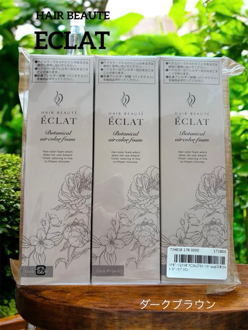ヘアボーテ エクラ ボタニカル エアカラーフォーム up ダークブラウン 3本 ヘアボーテエクラボタニカルエアカラーフォームup3本P付特別セット