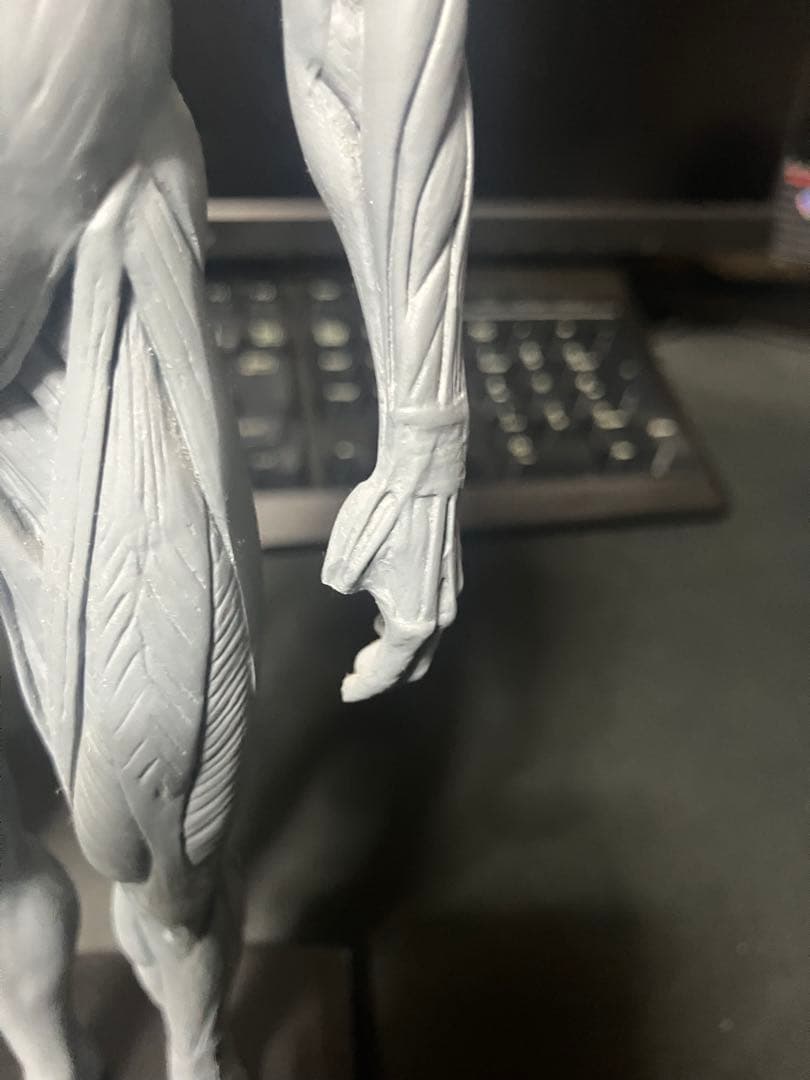 【要説明】男女二体セット•アナトミーフィギュア