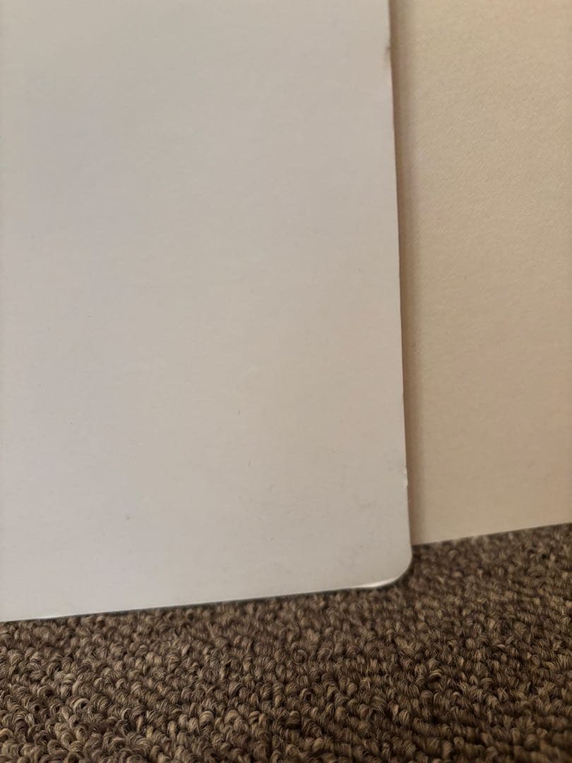 東京リベンジャーズ 佐野万次郎 マイキー 1月と7月 等身大パネル 受注