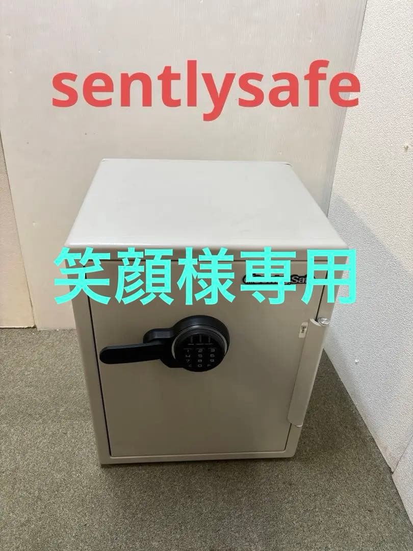 金庫　セントリー　ビッグボルトシリーズ　JF205EV　sentlysafe
