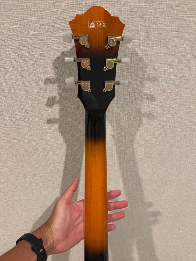 値下げ】Ibanez GB-10SE-BS 5B-03 ジョージベンソンモデル - メルカリ