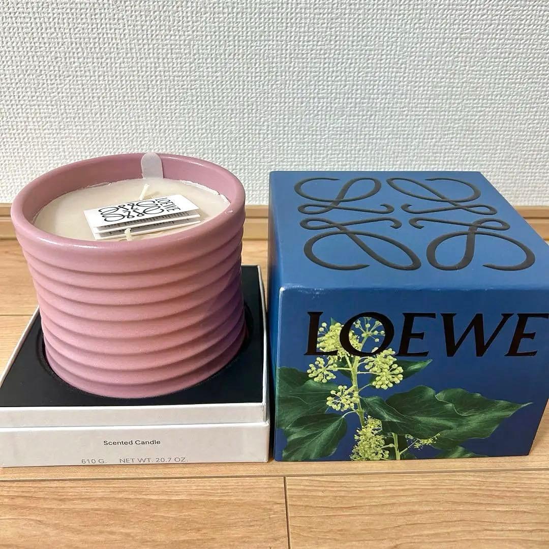 LOEWE アイビーキャンドル ミディアム ピンク 610g ロエベ キャンドル アイビー S（キャンドル）｜LOEWE Perfumes