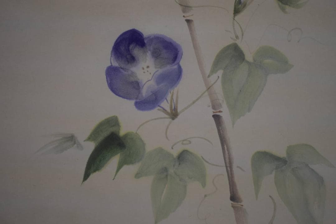 真作/長島涛逸/長島濤逸/朝顔図/桐共箱付/布袋屋掛軸HI-976