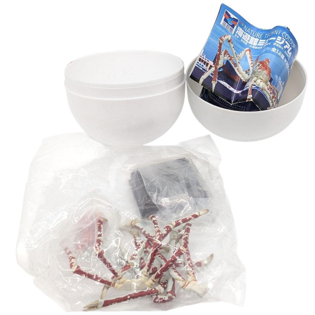 未開封 ネイチャーテクニカラー タカアシガニ フィギュア 海遊館ミュージアム