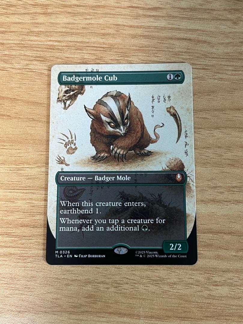 アナグマモグラの仔 Badgermole Cub