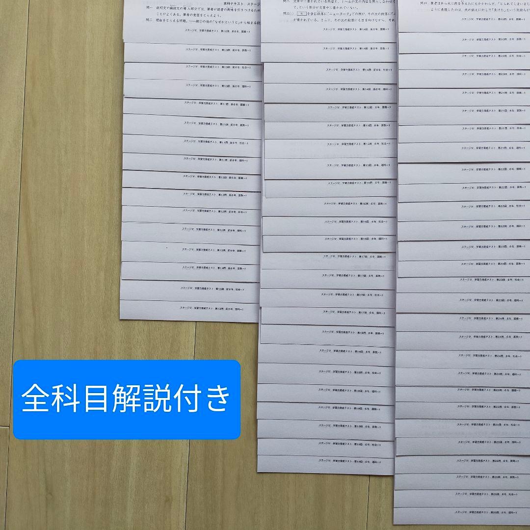 2025年度 日能研6年 学習力育成テスト 前期17回分 - メルカリ