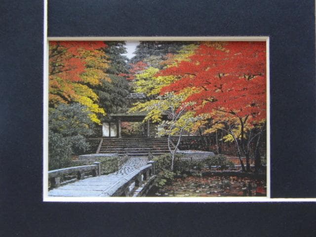 澁澤卿、【麗観采飾】、新品高級額 額装付、年代物・希少画集画、状態良好