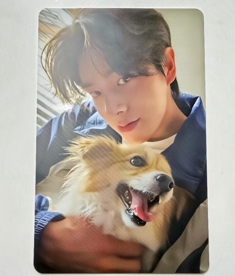 ENHYPEN アンケート トレカ JAKE ジェイク - メルカリ