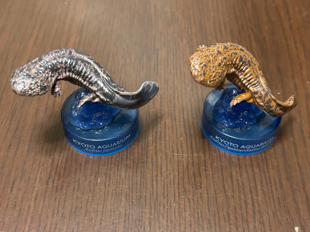 海洋堂 京都水族館 限定 オオサンショウウオ 在来種&交雑種 フィギュア オオサンショウウオ(交雑種/茶) 「京都水族館フィギュアコレクション