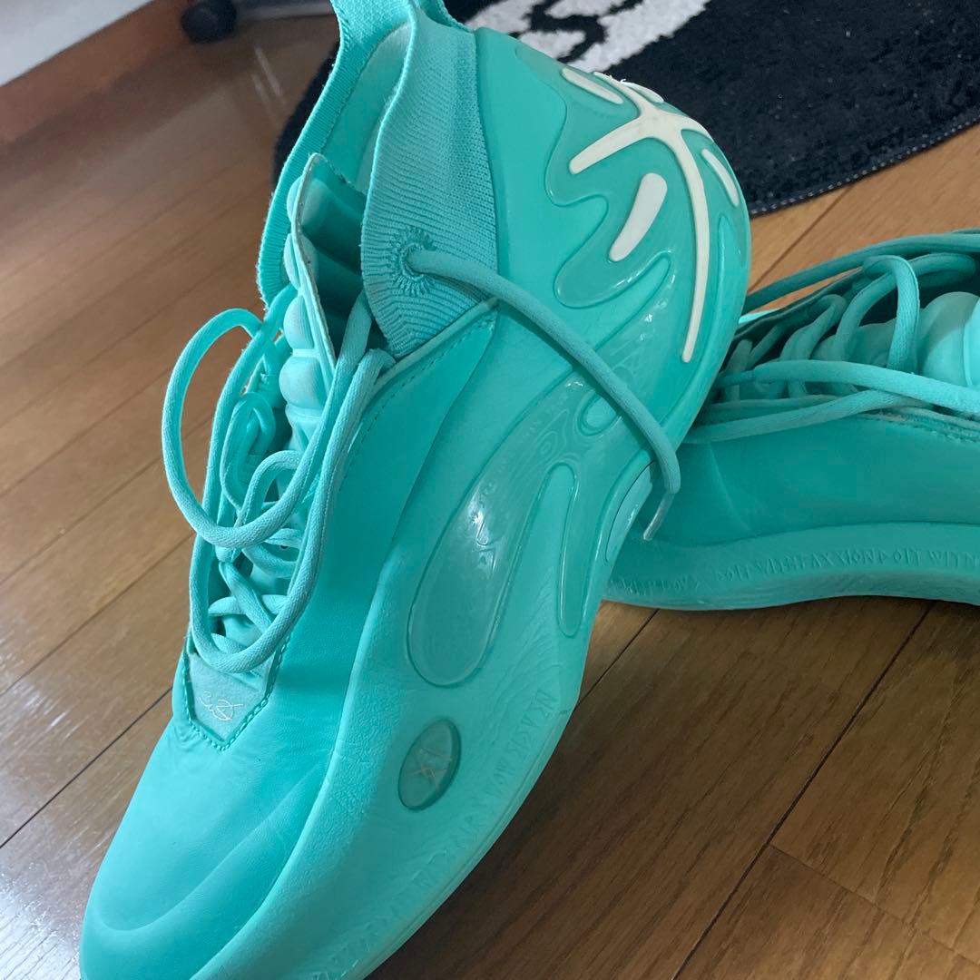 p*k様 ウェイドバッシュ