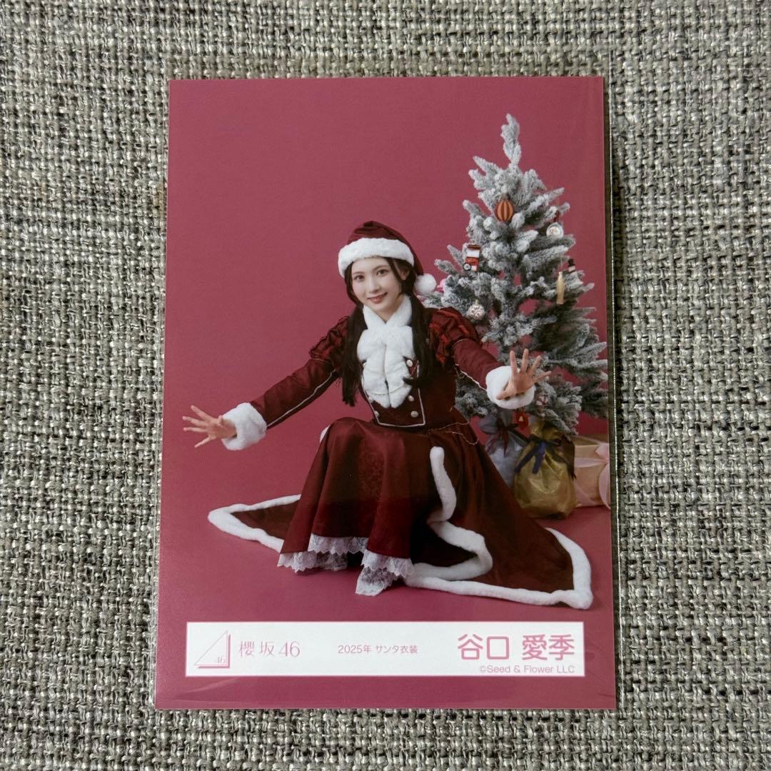 櫻坂46 生写真 2025年 サンタ衣装 谷口愛季 - メルカリ