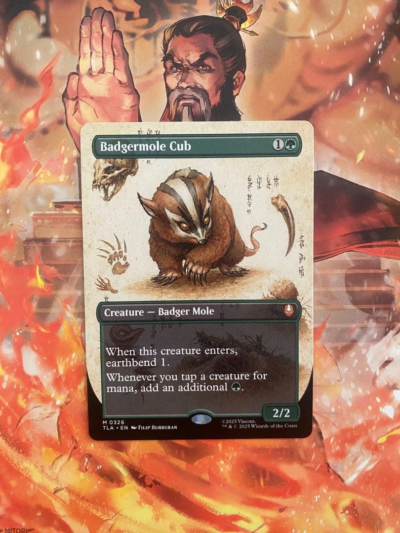 Mtg アナグマモグラの仔/Badgermole Cub 英語版