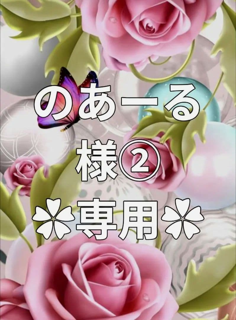 ✿のあーる様②·専用✿ハンドメイド　ピルケース