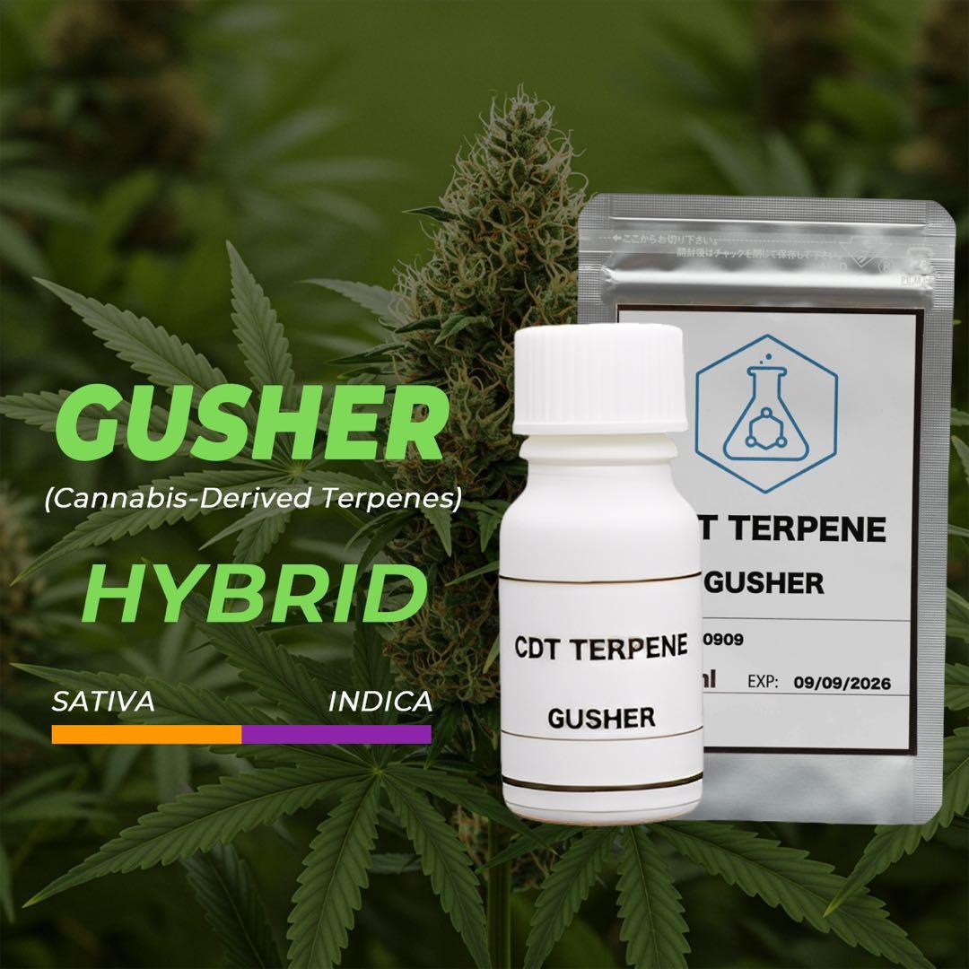 CDT Gusher (カンナビス由来テルペン) 50ml