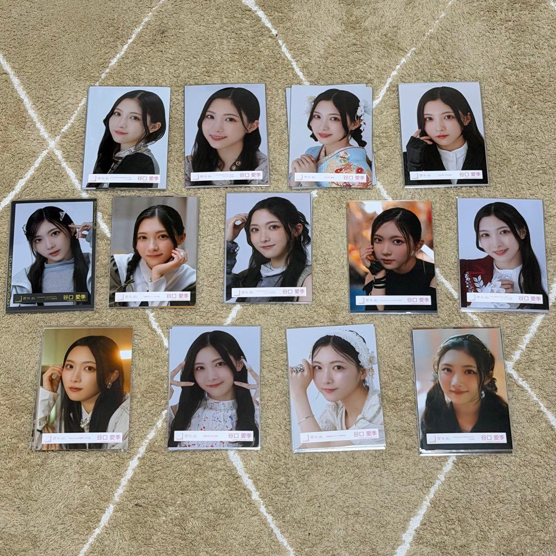 谷口愛季　生写真　コンプ　13セット