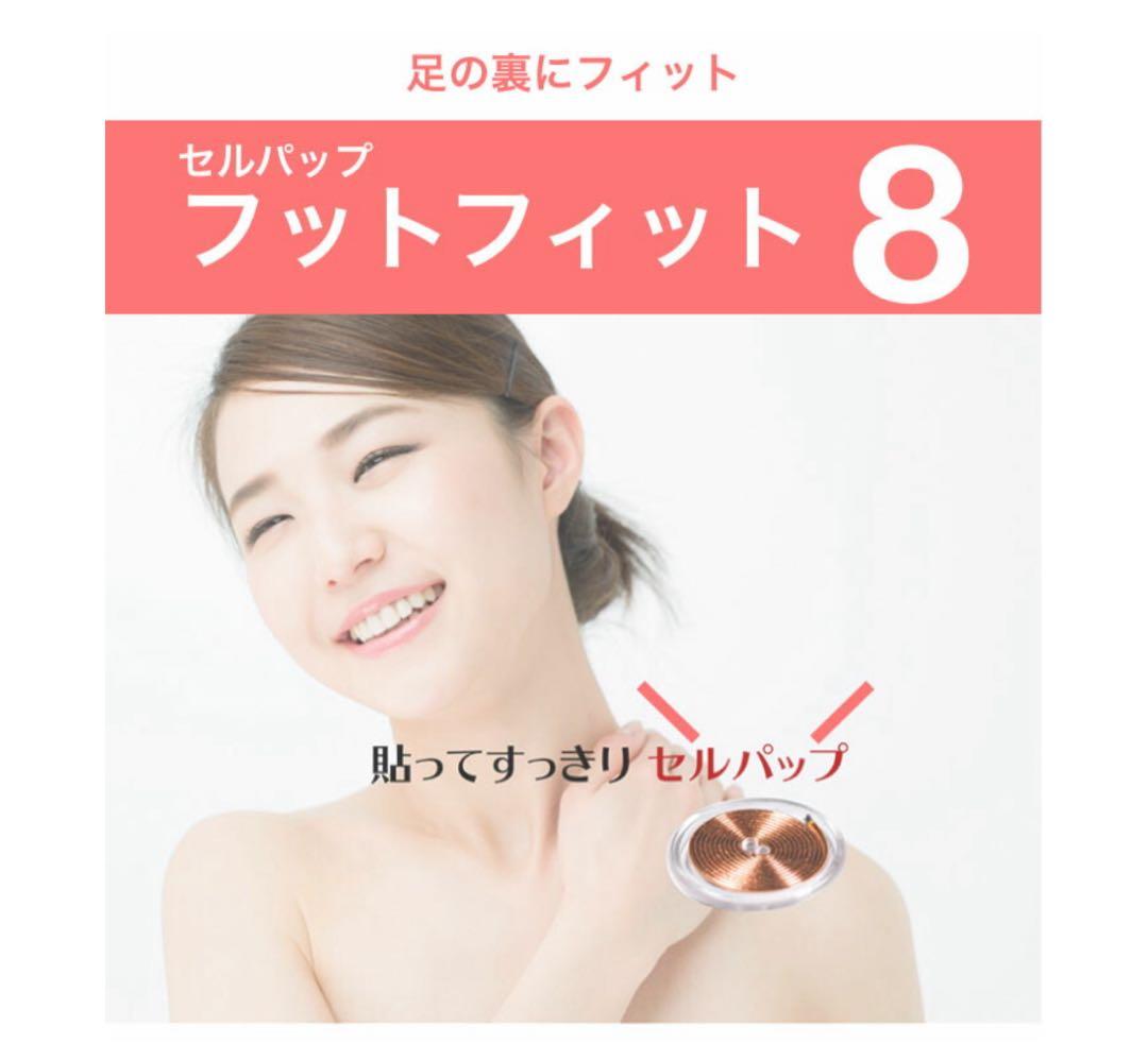 新品未使用 アーシングパット ゼロ磁場コイル 2個セット