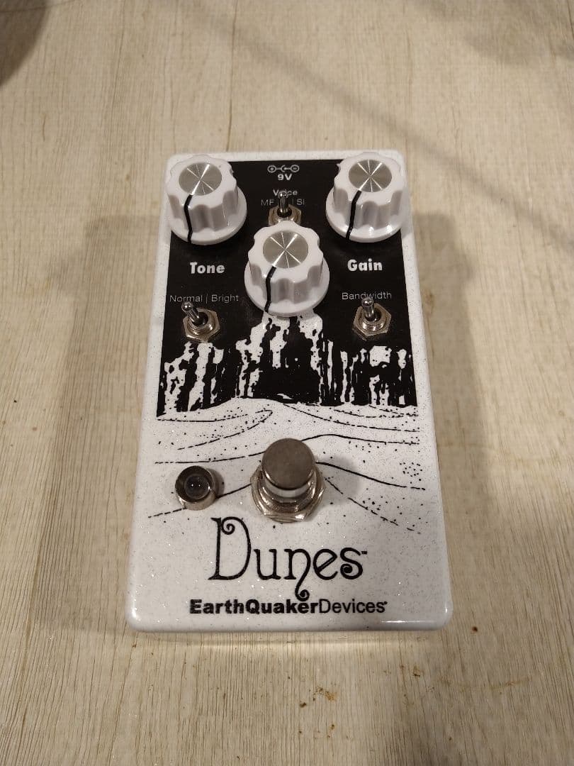 ギター EarthQuakerDevices Dunes