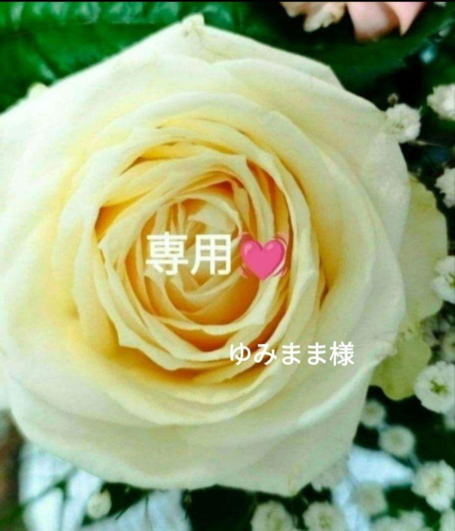 【ゆみまま❤】ミッション フォト エバークリーム 他❤