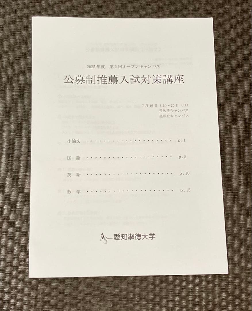 愛知淑徳大学 入試問題集 一般入試 公募2023年～2026年の4年分 - メルカリ