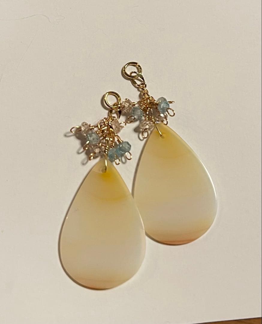 ポメころびページです୨୧