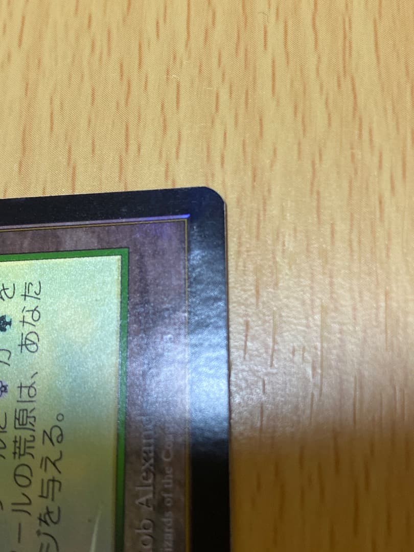 ラノワールの荒原 FOIL 4枚セット APC - メルカリ