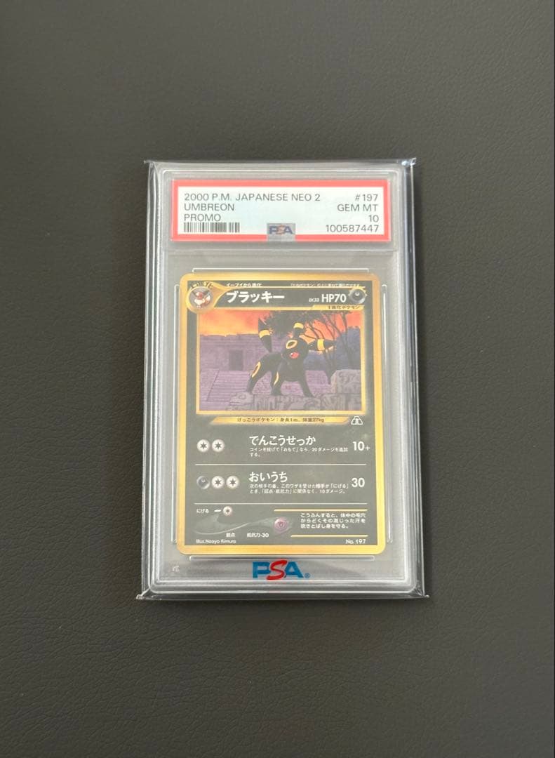 ポケモンカード 旧裏 ブラッキー プレミアムファイル PSA10 🔥ポケカ入荷情報🔥】 🔥【PSA10】 ブラッキー [プレミアムファイル2