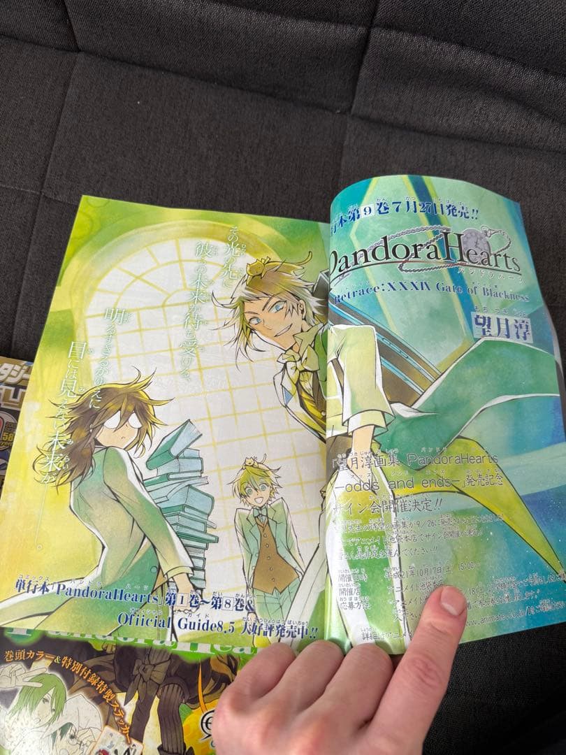 Gファンタジー 付録 2009〜2011 パンドラハーツ 特典 ブックカバー