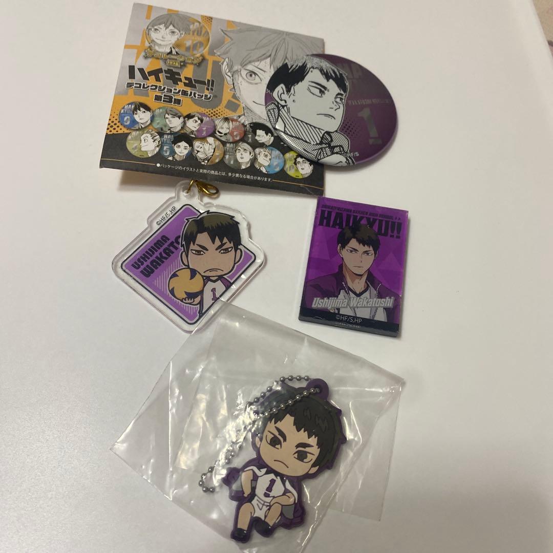 ハイキュー!! 牛島若利4点セット缶バッジ アクキー マグネット ラバー