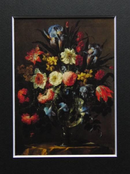 フアン・デ・アレリャーノ、花、超希少、新品額付、状態良好