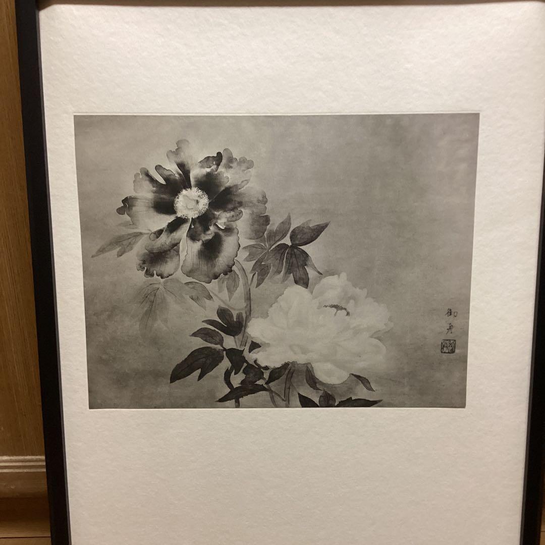 天才画家　速水御舟　作品集大作編　便利堂監修　NO 【50 牡丹双華】画集