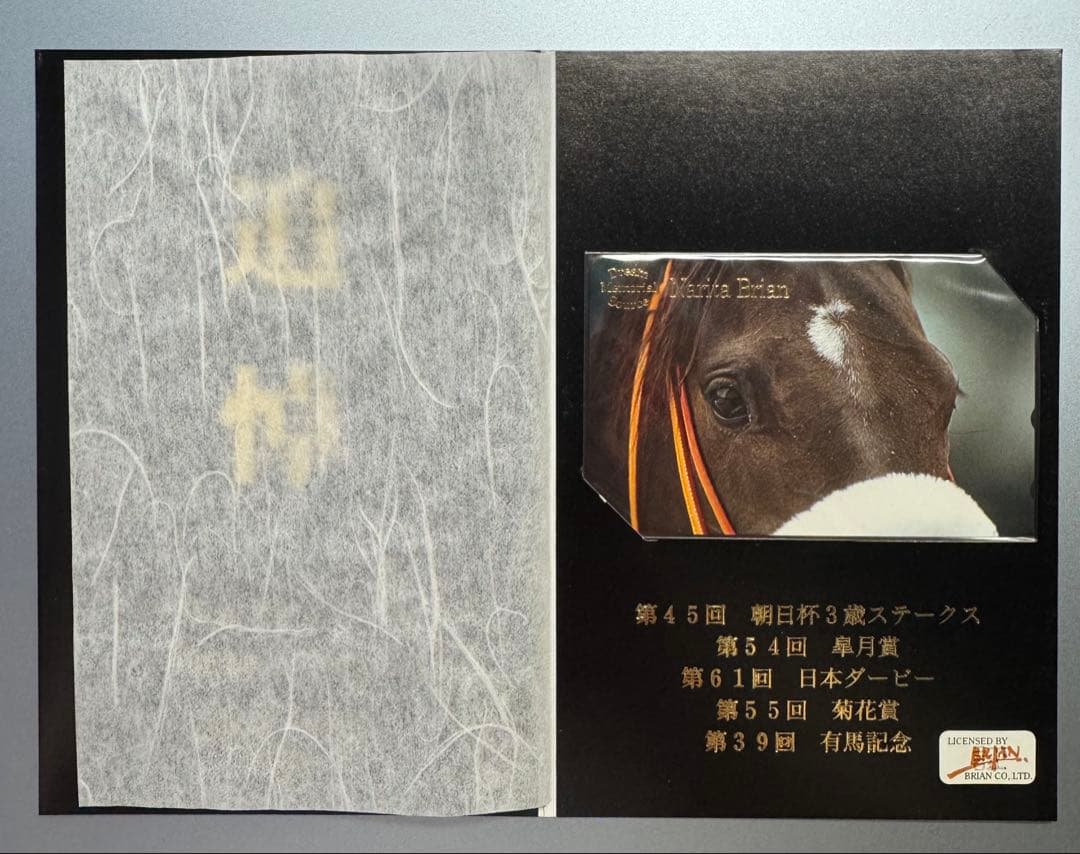 【激レア】関係者のみ配布ナリタブライアン 追悼記念Tカード