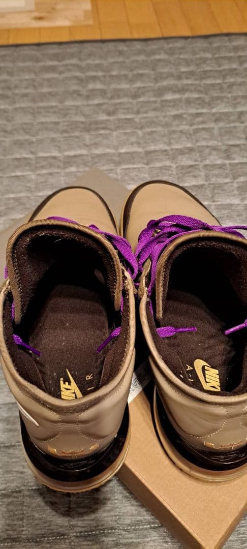 【極美品】ナイキ レブロン18 ロー バイオテック 29.0cm