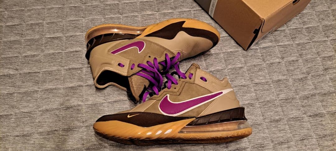 【極美品】ナイキ レブロン18 ロー バイオテック 29.0cm